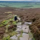 Why We Should Walk Downhill More Often As We Age