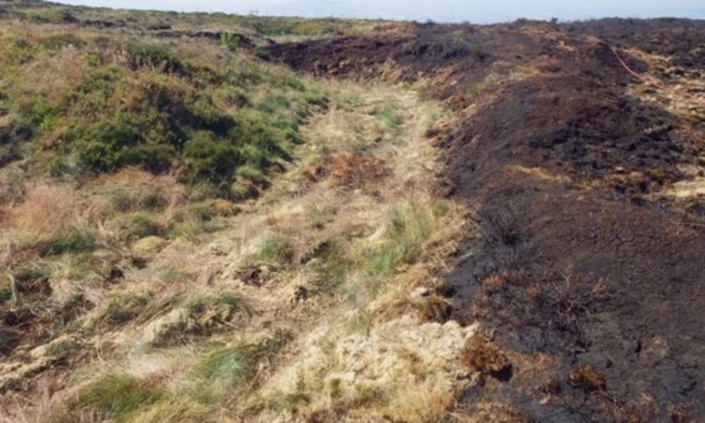 RSPB calls for tighter controls on moorland burning