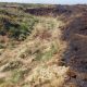 RSPB calls for tighter controls on moorland burning