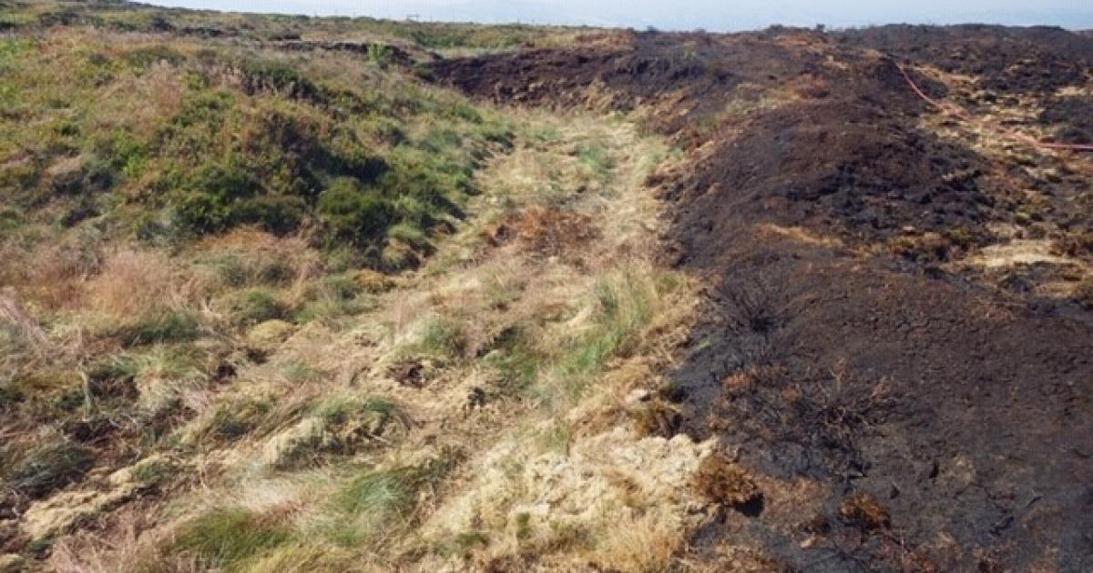 RSPB calls for tighter controls on moorland burning
