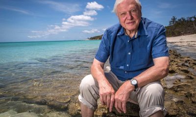 15 of the best quotes from Sir David Attenborough