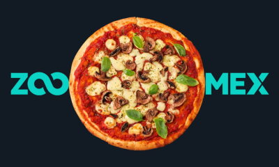 Moving Beyond HODL: ZOOMEX Launches Global “Pizza Week” Campaign Honoring Bitcoin’s First Real-World Trade