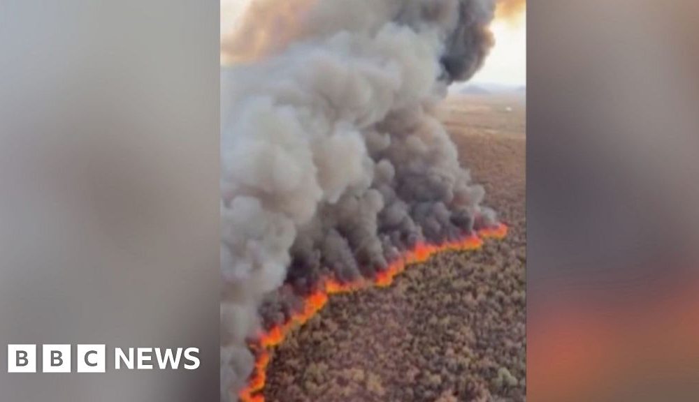 Wildfire tears through hundreds of acres in Arizona