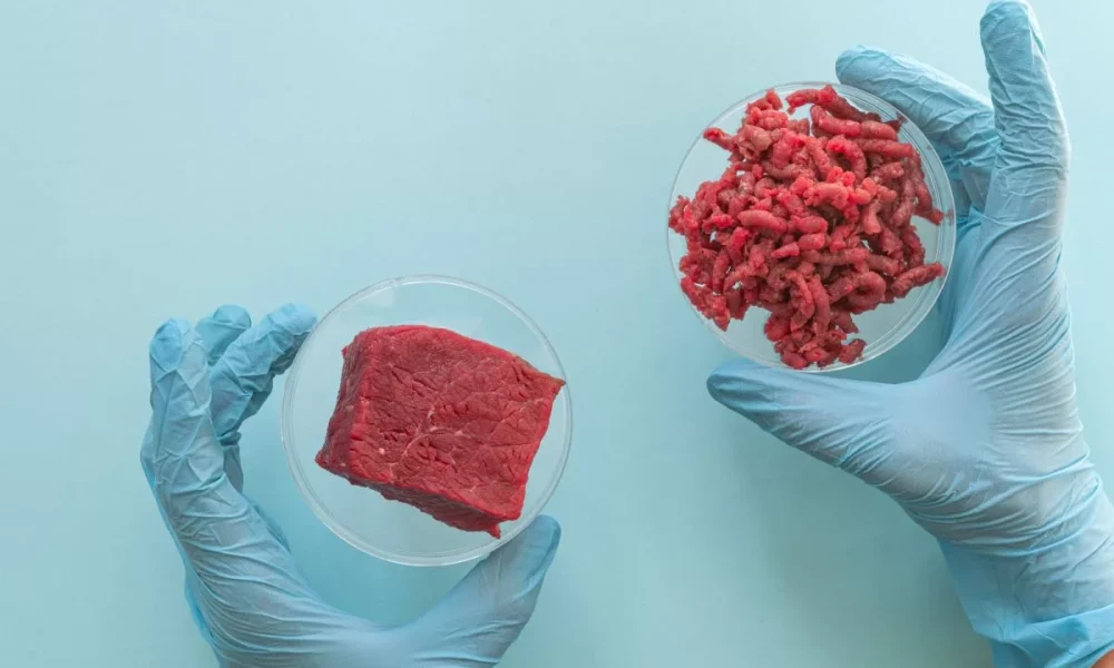 Headwinds continue to impede cultivated meat development
