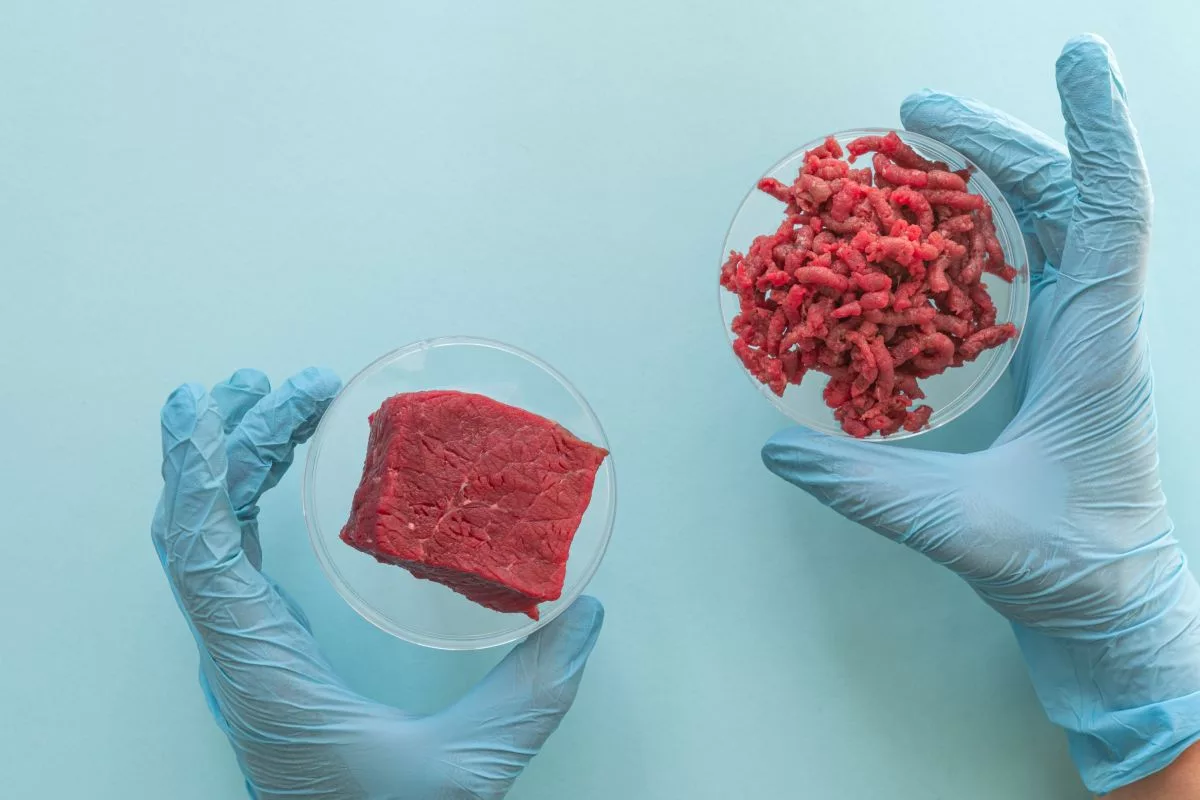 Headwinds continue to impede cultivated meat development