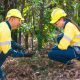 Opinion: Securing a growth environment