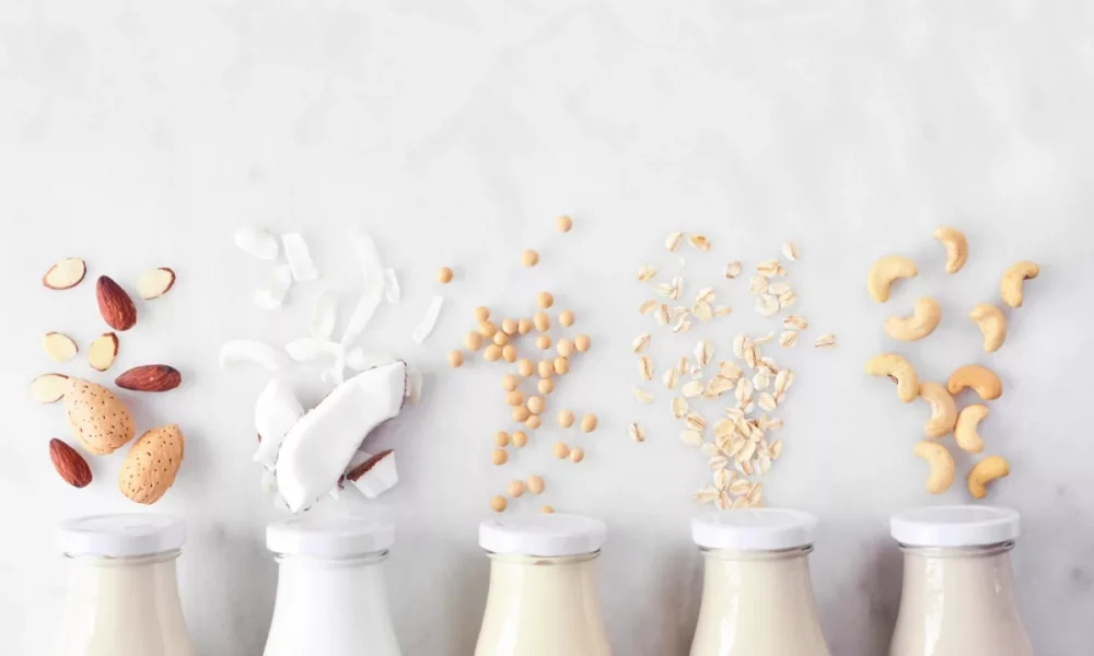 Key Trends Shaping Plant-Based Dairy Innovation