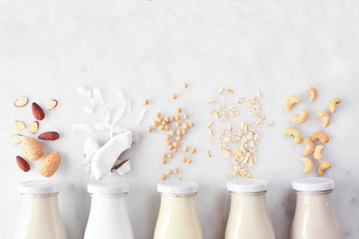 Key Trends Shaping Plant-Based Dairy Innovation