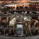 Analysis: Trump tariffs hit different