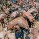 Cobalt mine Energy transition Attacks on whistleblowers