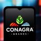Conagra highlights healthy product sales