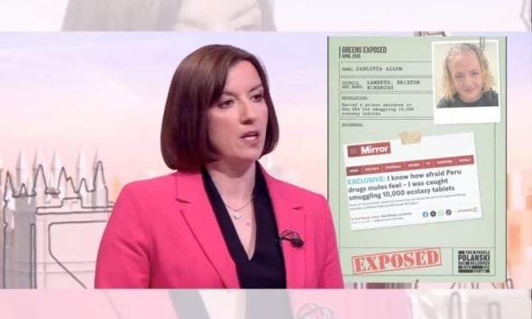 Bridget Phillipson in front of a Labour smear poster