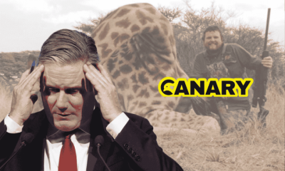 Starmer's U-turn on trophy hunting bill