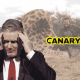 Starmer's U-turn on trophy hunting bill