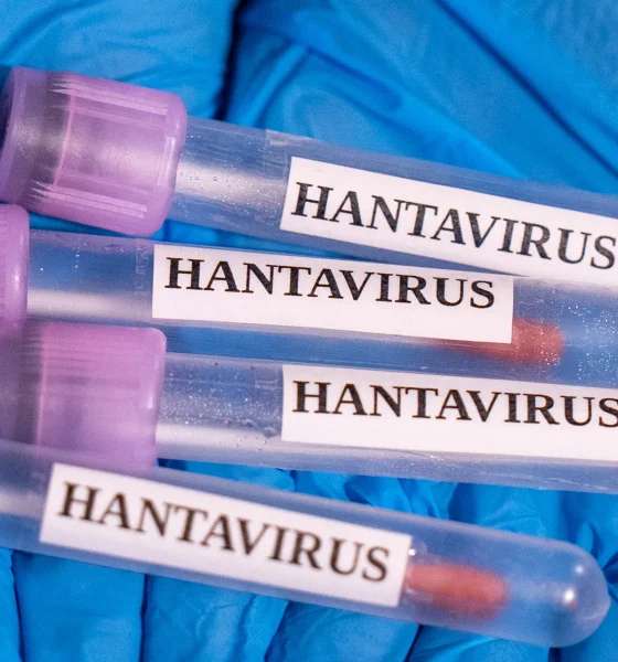 Evacuations For Cruise Ship Begin After Hantavirus Outbreak Leaves Multiple Dead (VIDEO)
