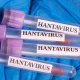 Evacuations For Cruise Ship Begin After Hantavirus Outbreak Leaves Multiple Dead (VIDEO)