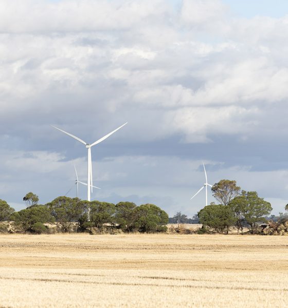 Opposition questions minister's Synergy energy order