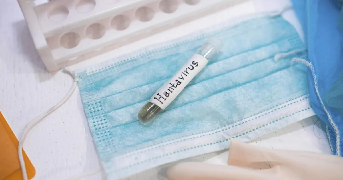 Is Hantavirus a new STI? Here's why it could be in your semen