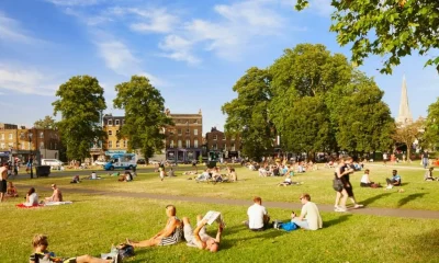 'Ball-busters' are the oblivious Brits ruining summer for city-dwellers