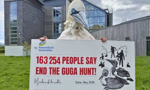 Rob Pownall, in gannet costume, holds a giant cheque representing a petition to NatureScot