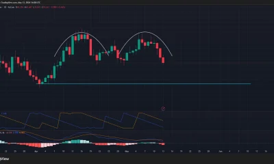Hyperliquid price forms a double top pattern on the daily chart.