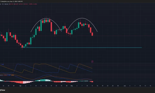Hyperliquid price forms a double top pattern on the daily chart.