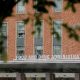 FDA drug center head fired after commissioner’s exit
