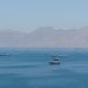 Rubio says Strait of Hormuz has to be open ’one way or the other’