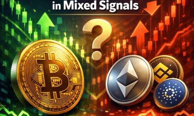 Crypto Breaking News