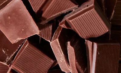 Cargill launches cocoa alternative with Voyage Foods