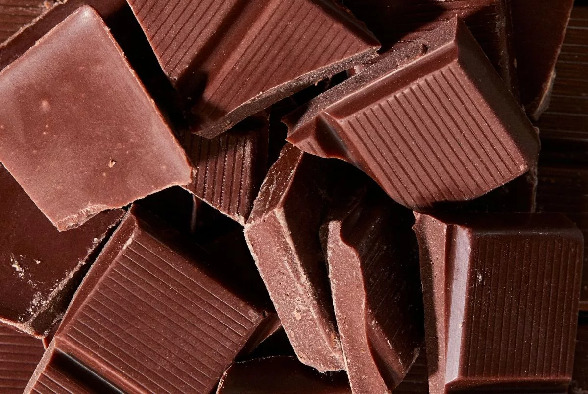Cargill launches cocoa alternative with Voyage Foods