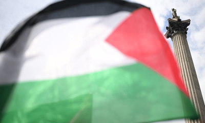 green party palestine