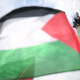 green party palestine