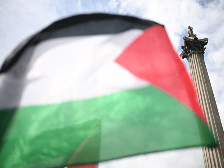 green party palestine