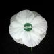 A Peace Pledge Union white poppy Petition against conscription International Conscientious Objectors' Day
