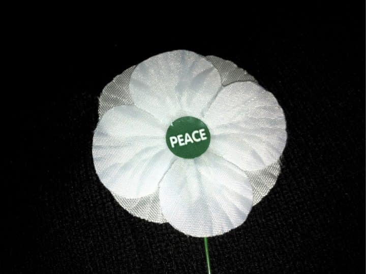 A Peace Pledge Union white poppy Petition against conscription International Conscientious Objectors' Day