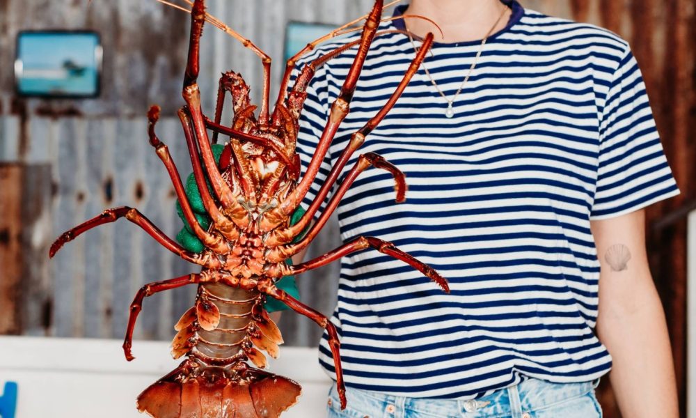 KB Seafood to operate Lobster Shack owners' processing facility