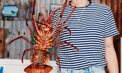 KB Seafood to operate Lobster Shack owners' processing facility