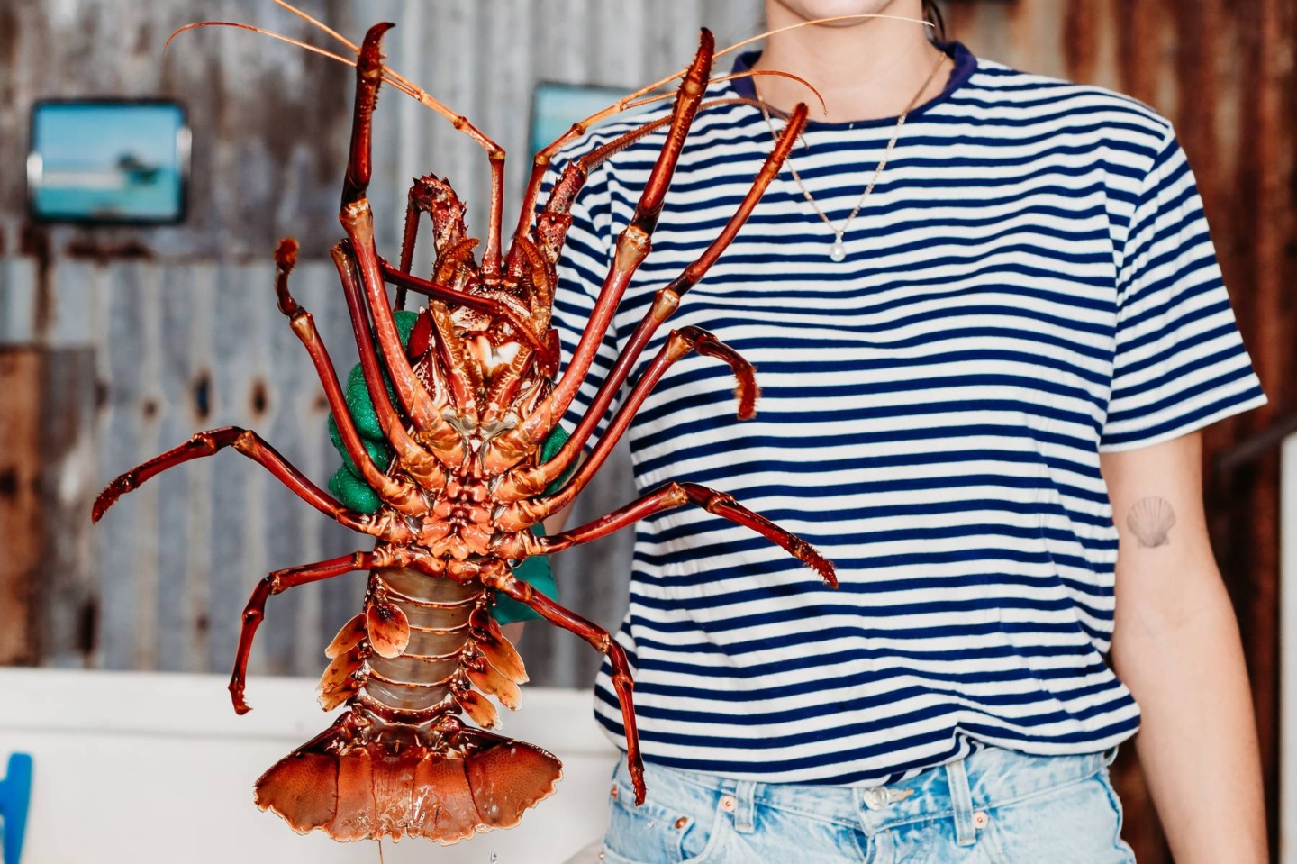 KB Seafood to operate Lobster Shack owners' processing facility