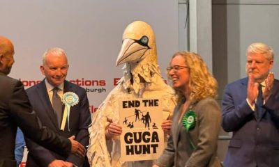 Rob Pownall in his giant gannet costume at Edinburgh Central count