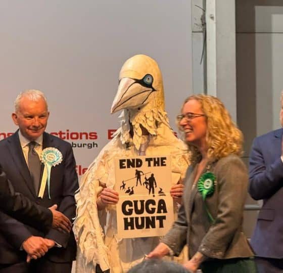 Rob Pownall in his giant gannet costume at Edinburgh Central count