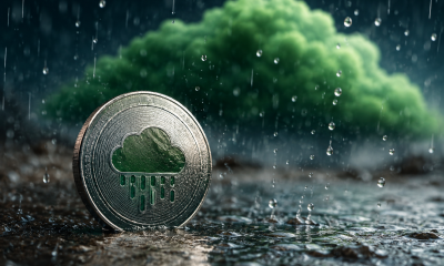 why the RAIN coin price is rising