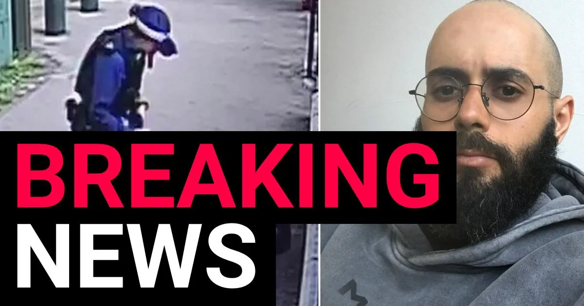 Migrant was seconds from attacking London's Israeli embassy before cops stopped him | News UK