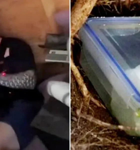 Police bust 'tupperware' gang who hid cocaine in containers on country lanes | News UK