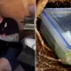 Police bust 'tupperware' gang who hid cocaine in containers on country lanes | News UK