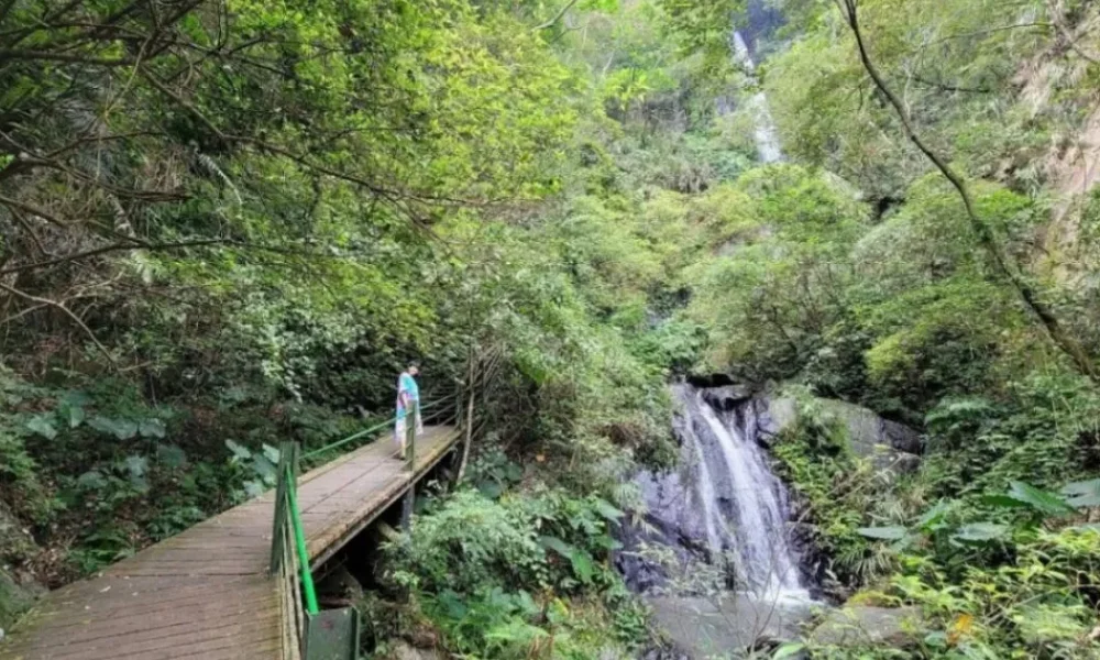 Teen falls to death on gorge swing after saying ropes weren't right | News World