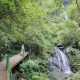 Teen falls to death on gorge swing after saying ropes weren't right | News World