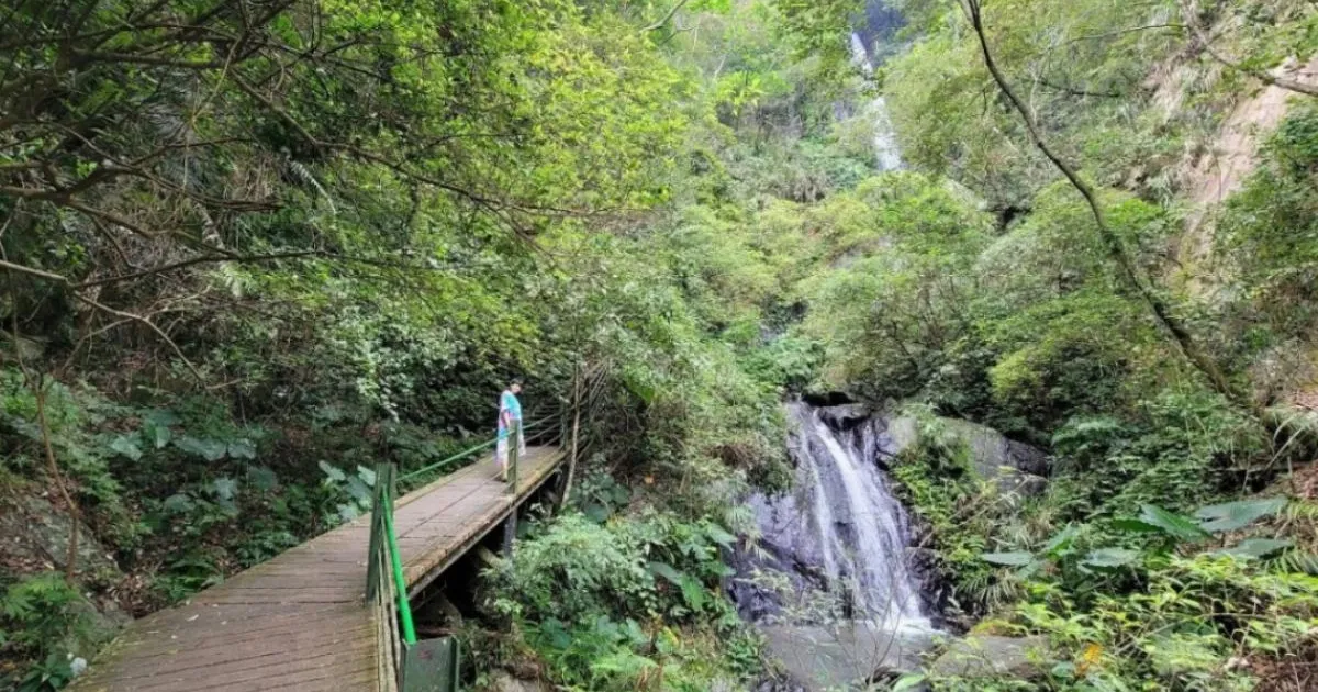 Teen falls to death on gorge swing after saying ropes weren't right | News World