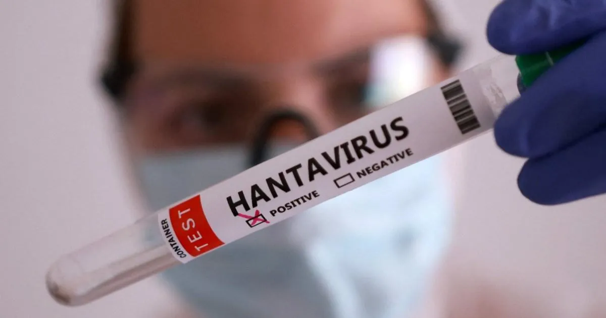 Could deadly hantavirus become the next global pandemic? | News World