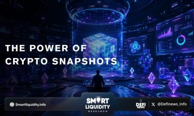 What Is a Crypto Snapshot?